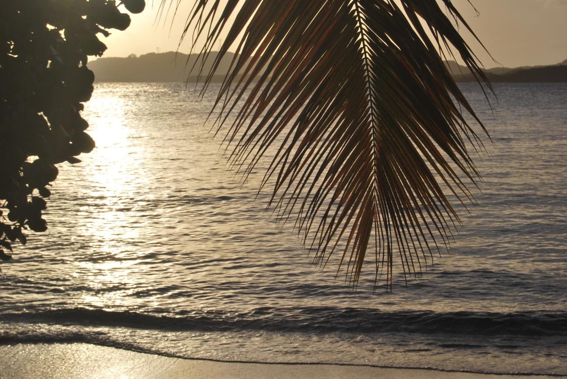 Secret Harbour Beach Resort - Photo 57