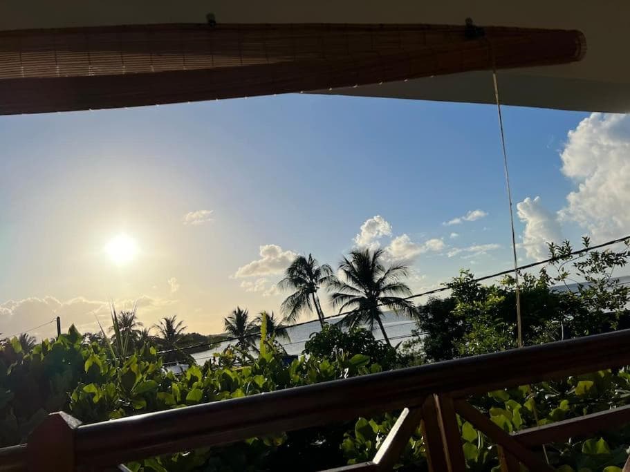 Le Cosy Palétuvier - Photo 9