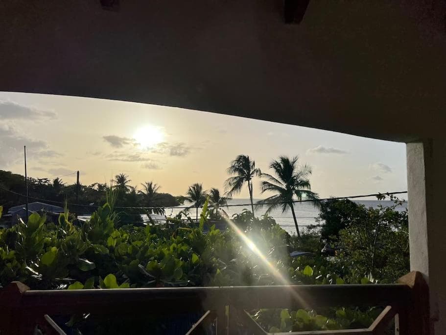 Le Cosy Palétuvier - Photo 4