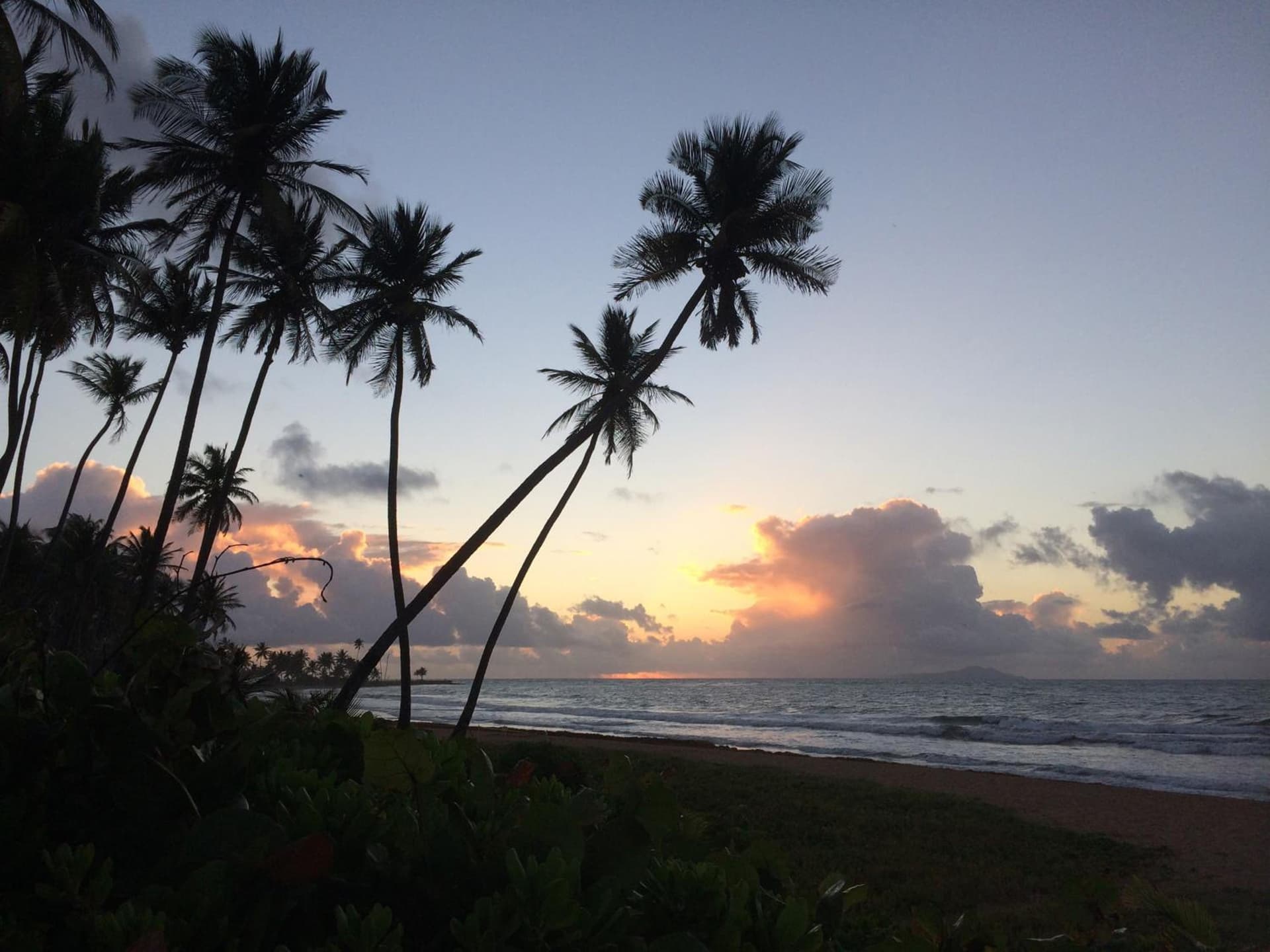 Wyndham Palmas Beach and Golf Boutique Resort - Photo 104