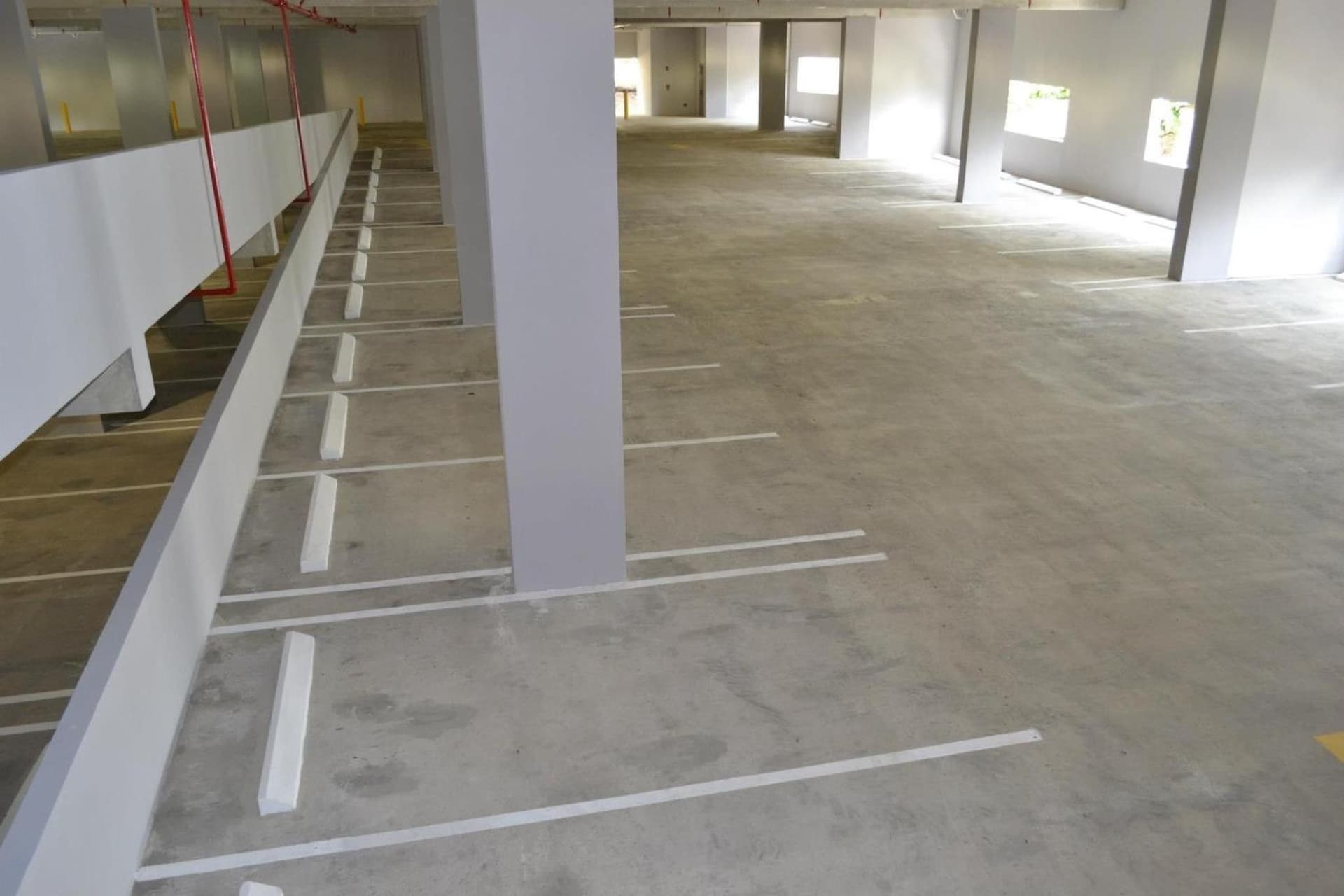 Royal Delonix - Photo 24