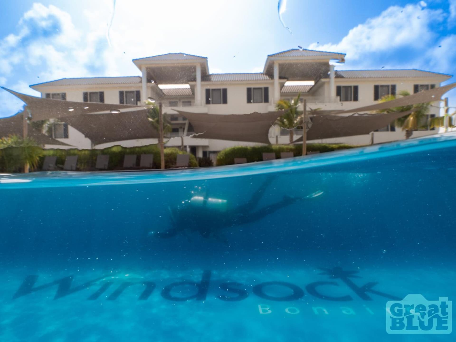 Grand Windsock Bonaire - Photo 115