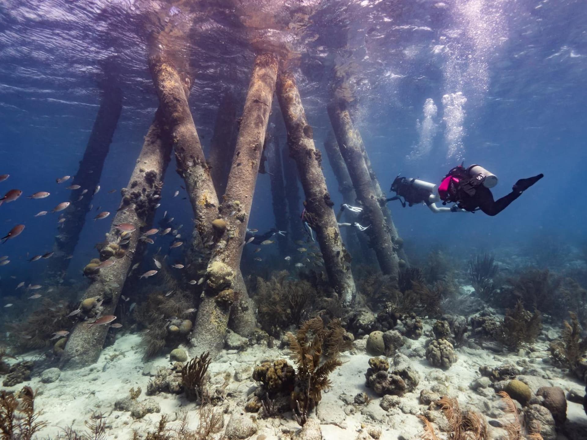 Grand Windsock Bonaire - Photo 227