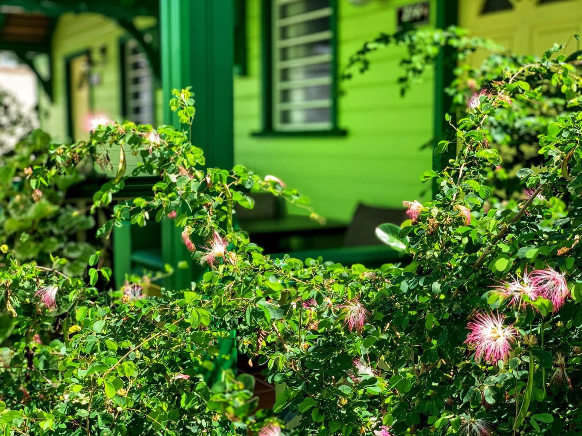 Hotel Bambou - Photo 173