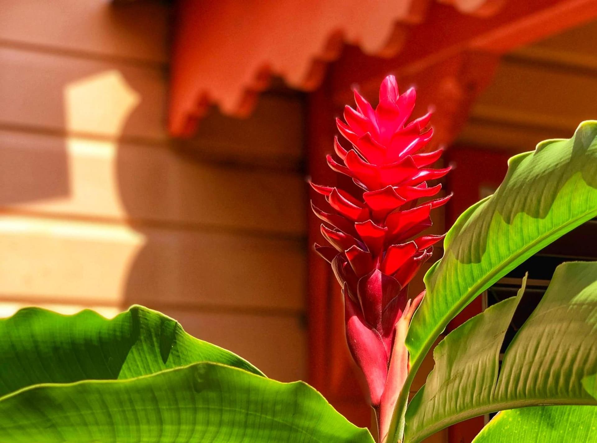 Hotel Bambou - Photo 174