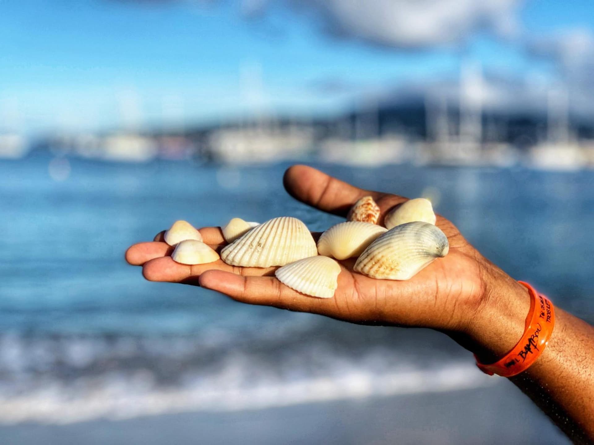 Hotel Bambou - Photo 183