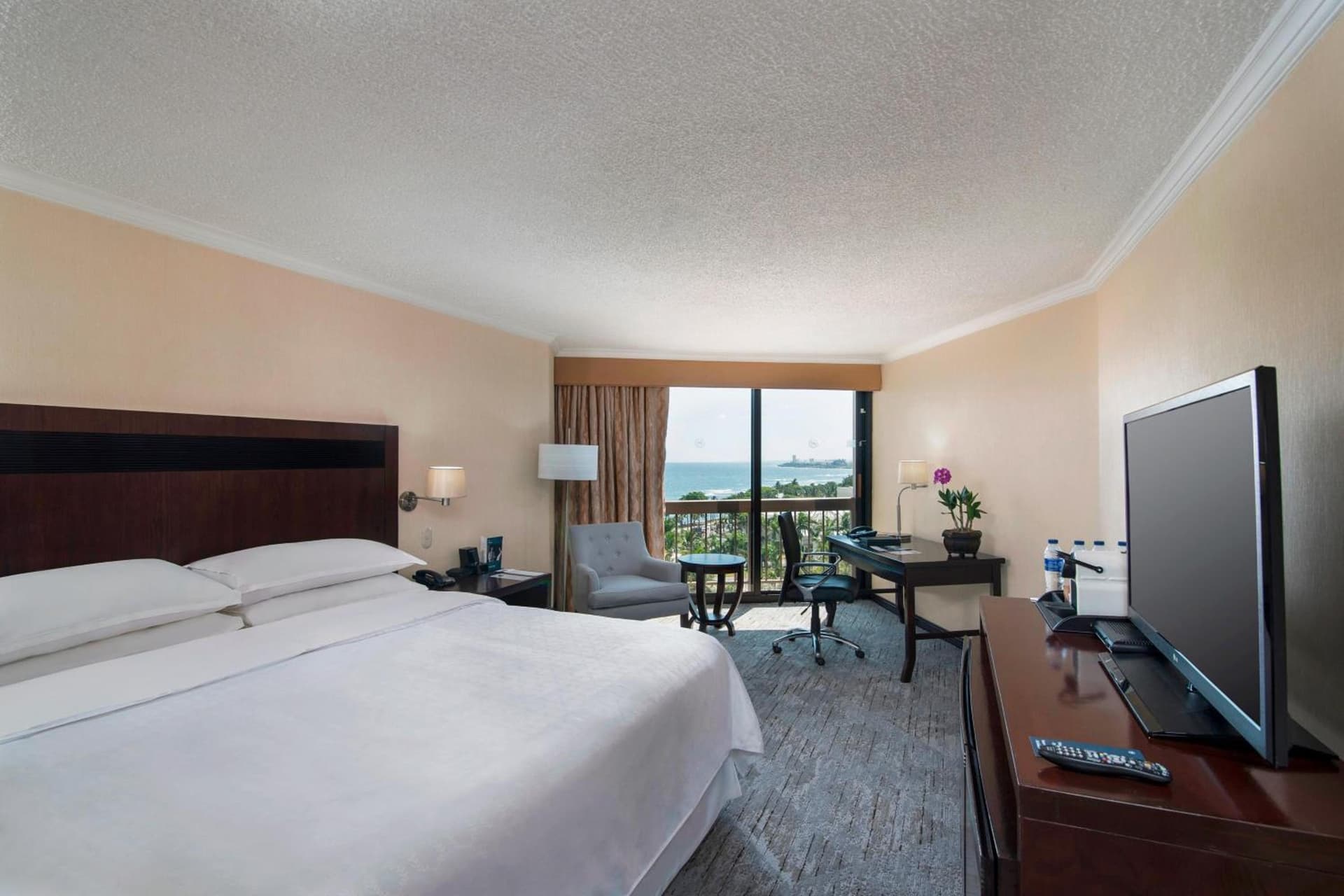 Sheraton Santo Domingo - Photo 4