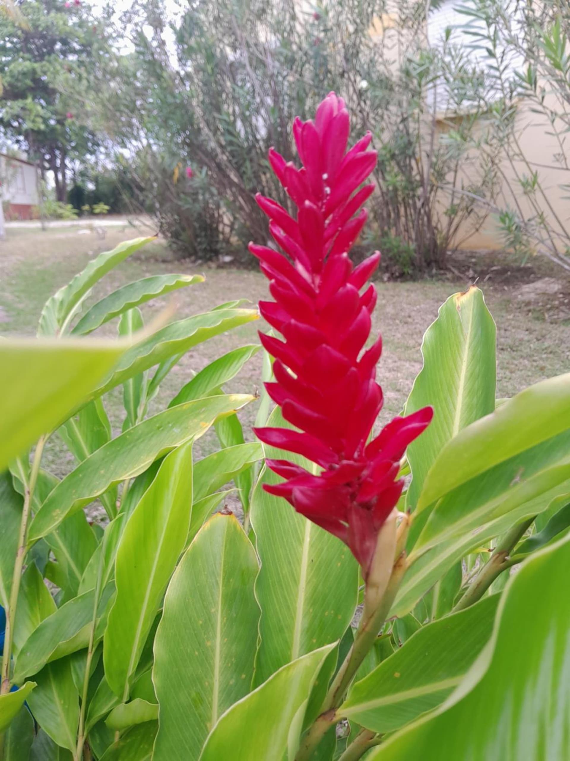 Au Village de Menard - Photo 6