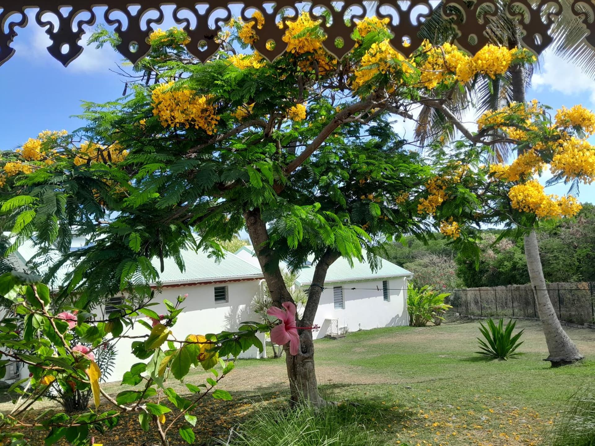 Au Village de Menard - Photo 49