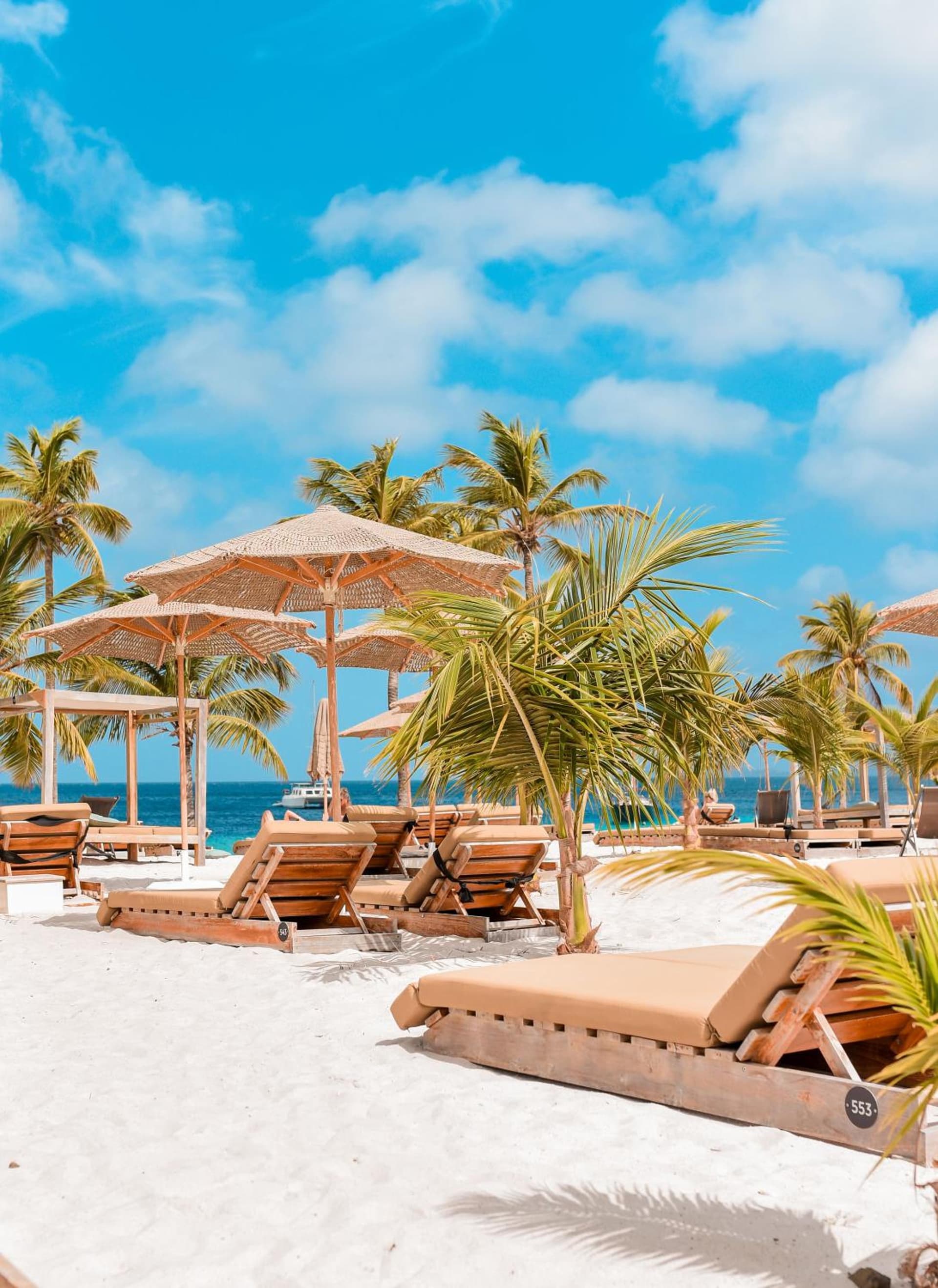 Chogogo Dive & Beach Resort Bonaire - Photo 43