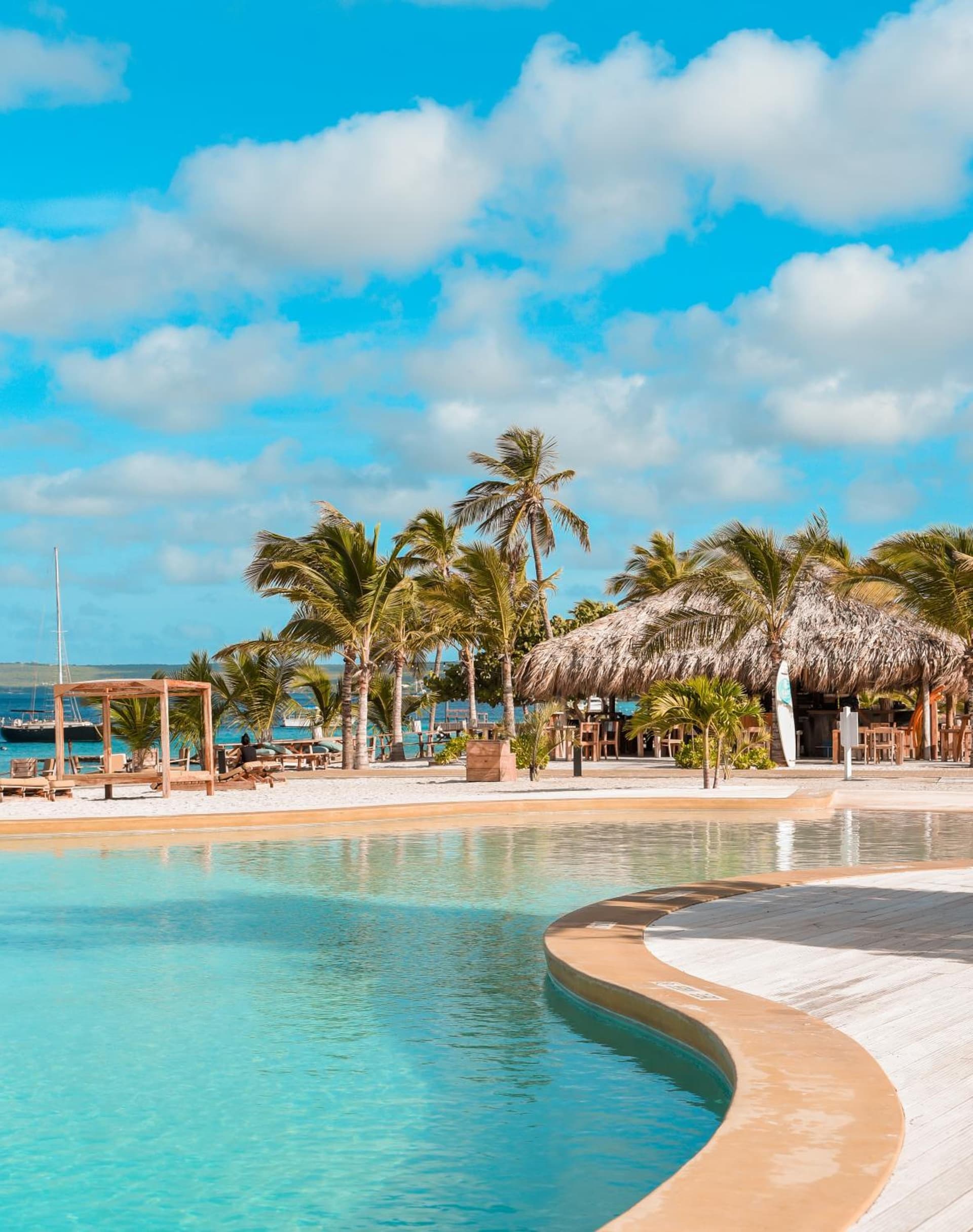 Chogogo Dive & Beach Resort Bonaire - Photo 64