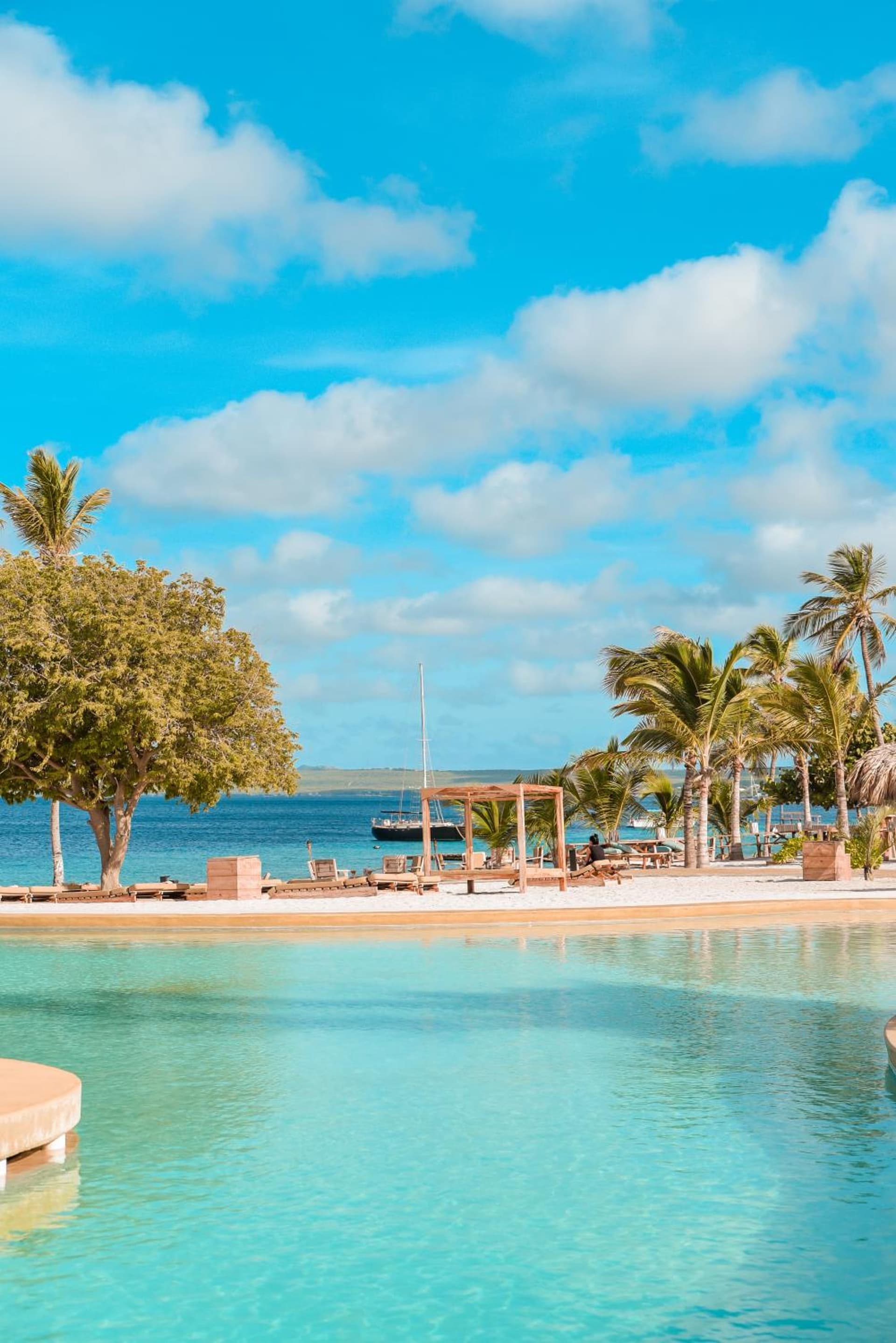 Chogogo Dive & Beach Resort Bonaire - Photo 65