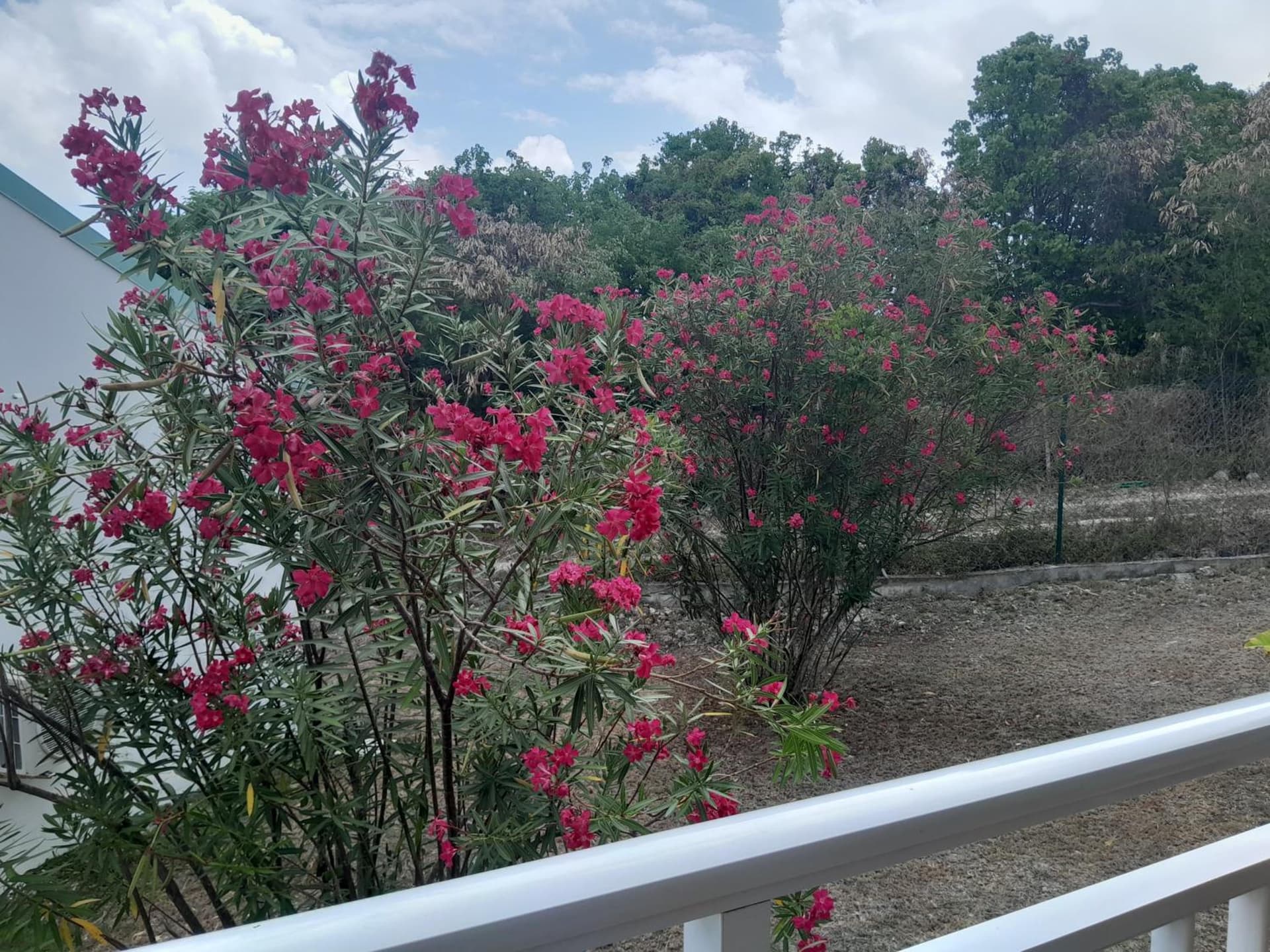 Au Village de Menard - Photo 57