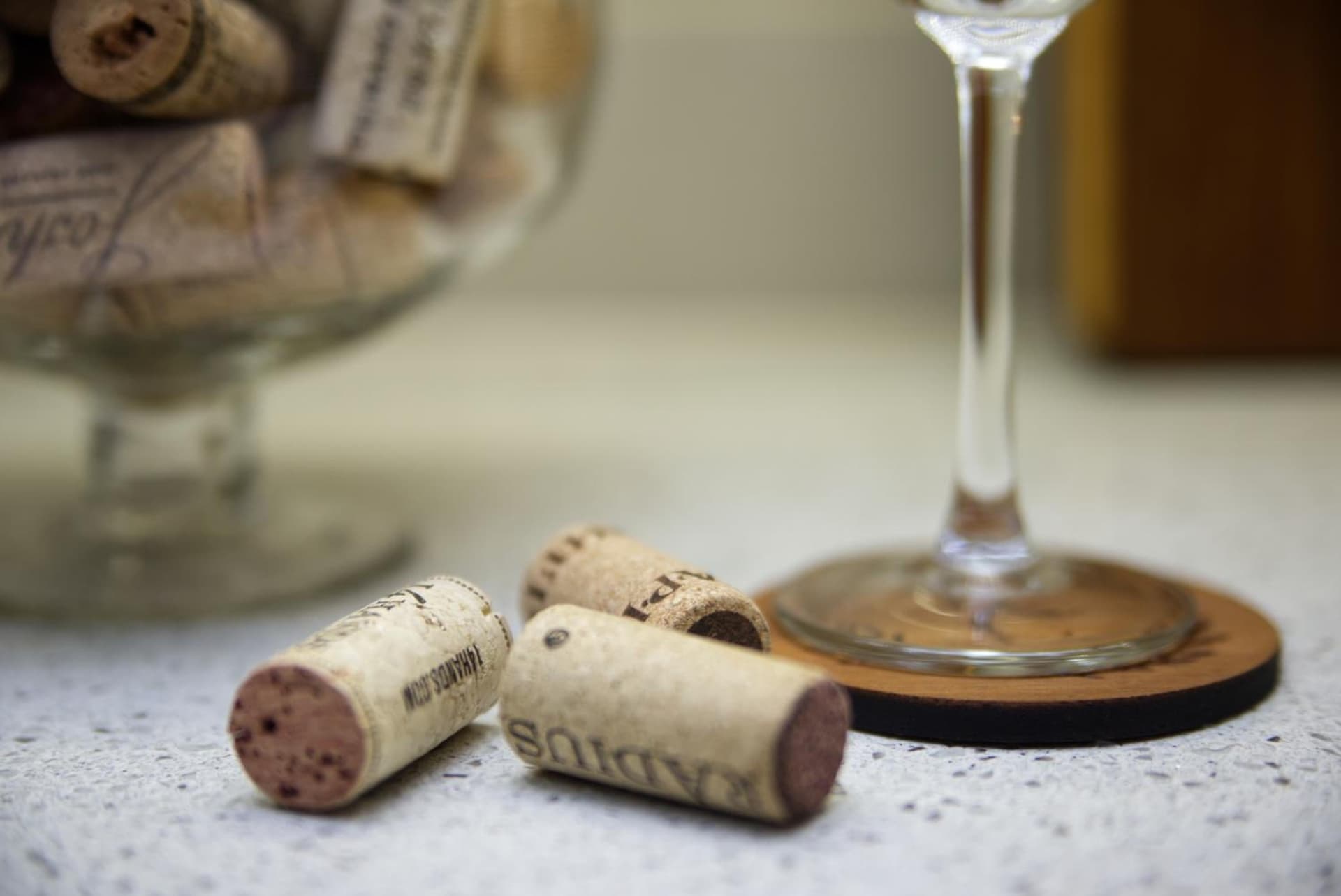 The Cozy Condo - A Modern Retreat - Photo 11