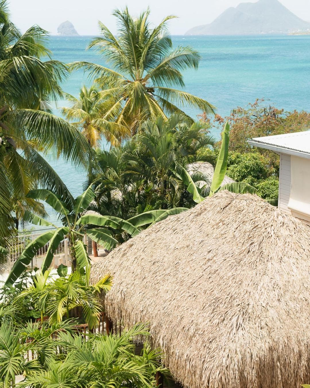 Hôtel Iloma - Photo 101