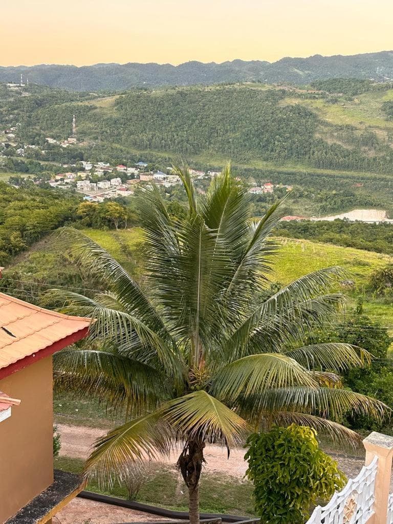 Lion’s View Bed & Breakfast - Photo 18