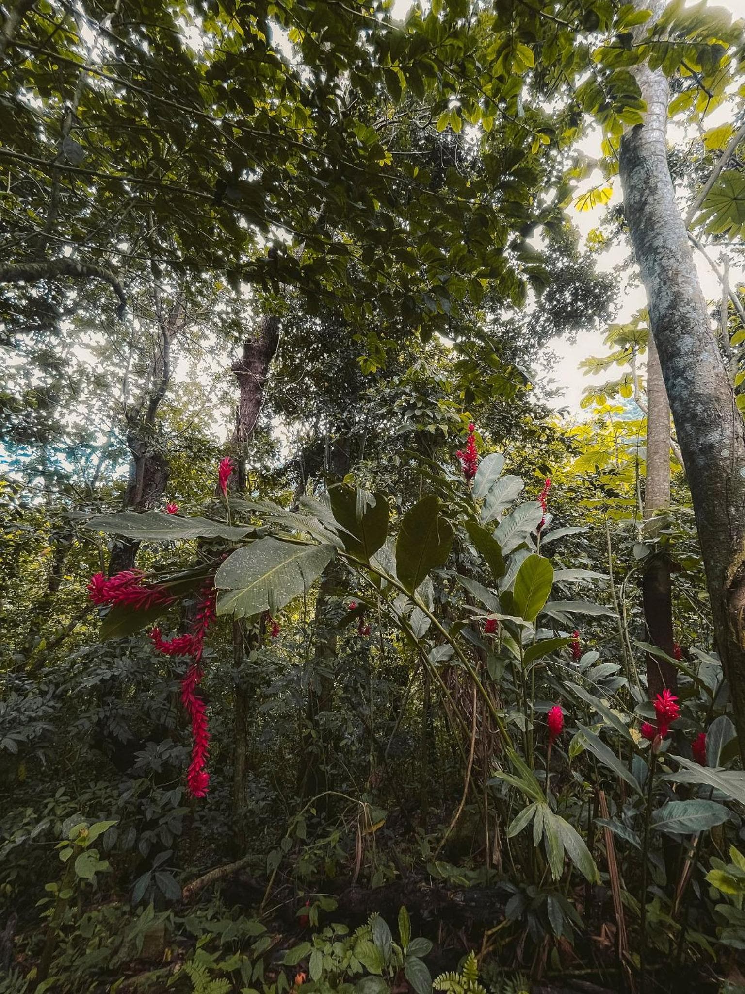 Casa Grande Mountain Retreat - Adults Only - Photo 36