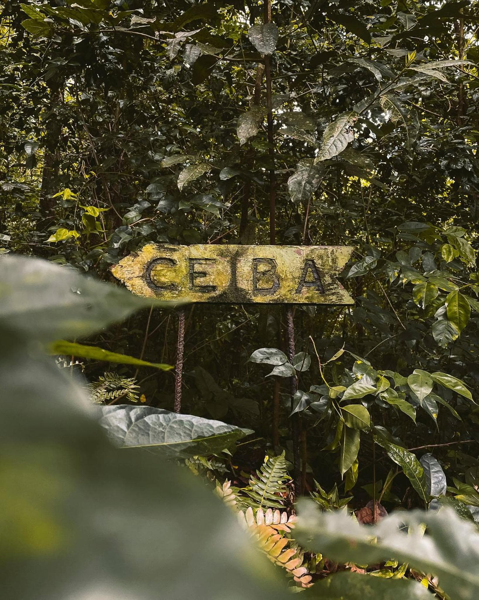 Casa Grande Mountain Retreat - Adults Only - Photo 34