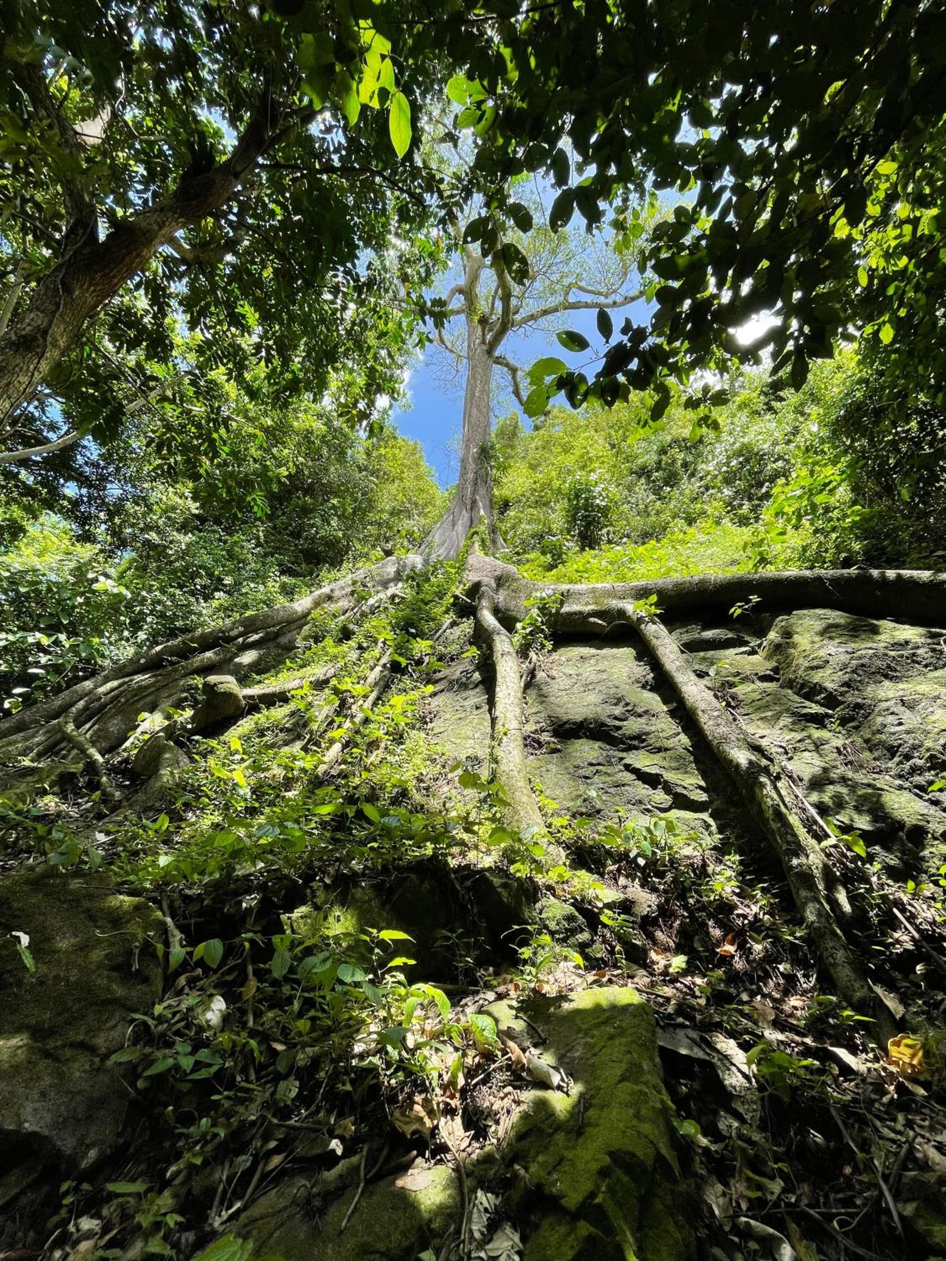 Casa Grande Mountain Retreat - Adults Only - Photo 38