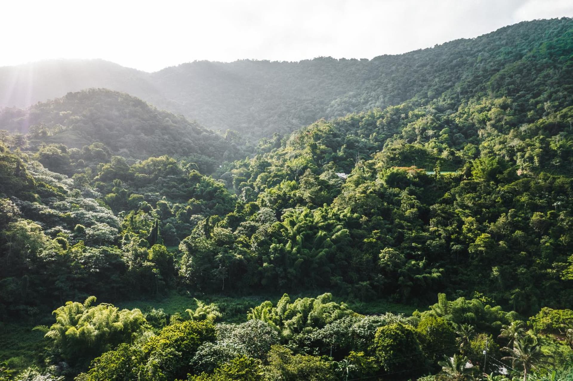 Casa Grande Mountain Retreat - Adults Only - Photo 39