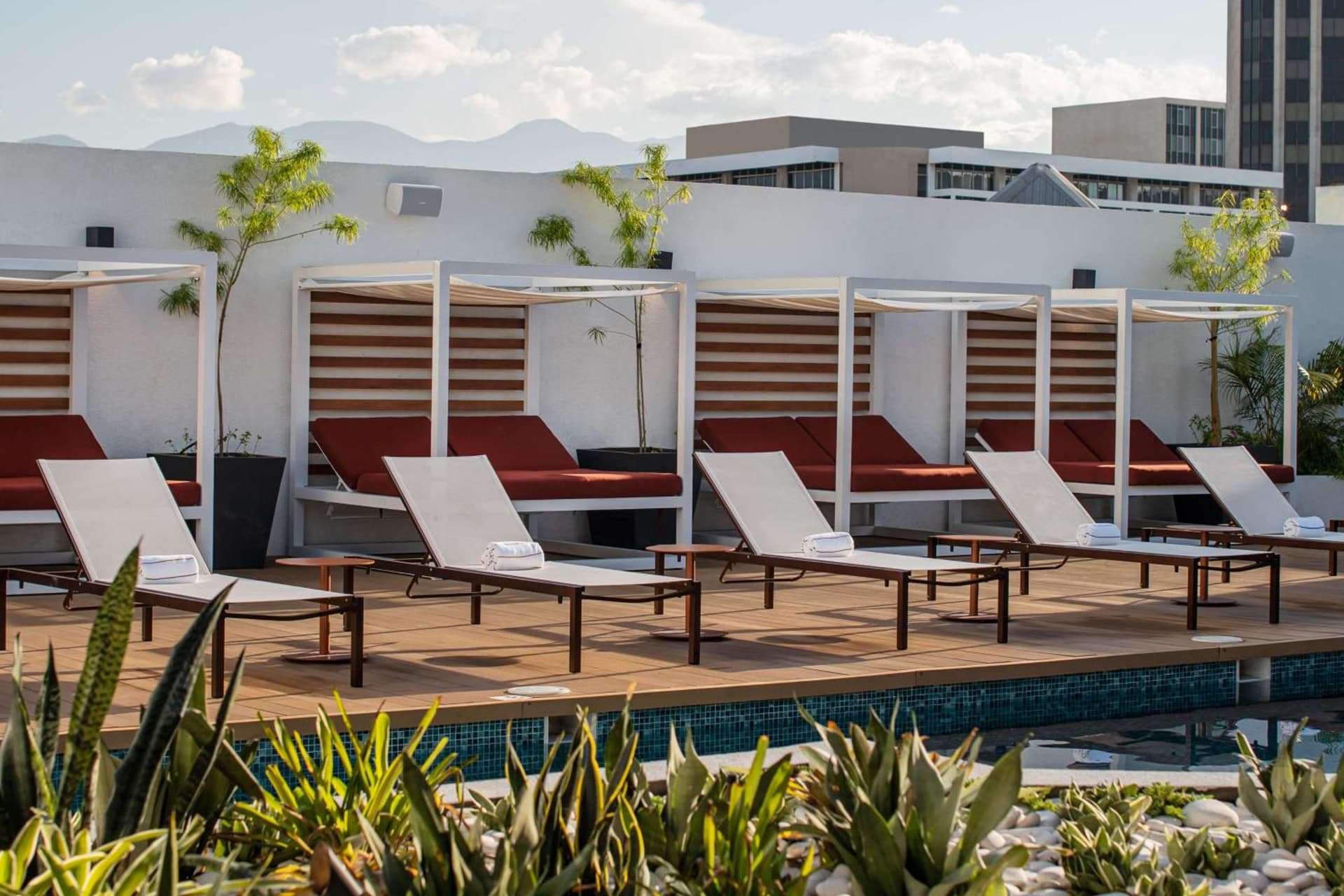 ROK Hotel Kingston, Tapestry Collection By Hilton - Photo 53