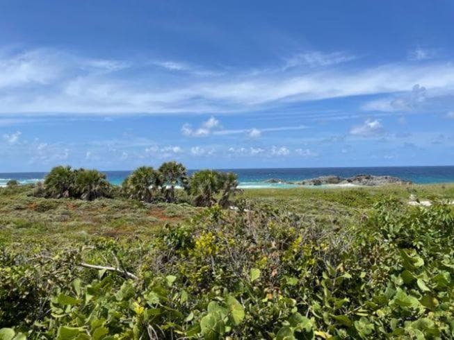 Dragon Cay Resort Mudjin Harbour - Photo 80