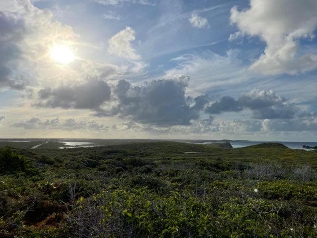 Dragon Cay Resort Mudjin Harbour - Photo 85