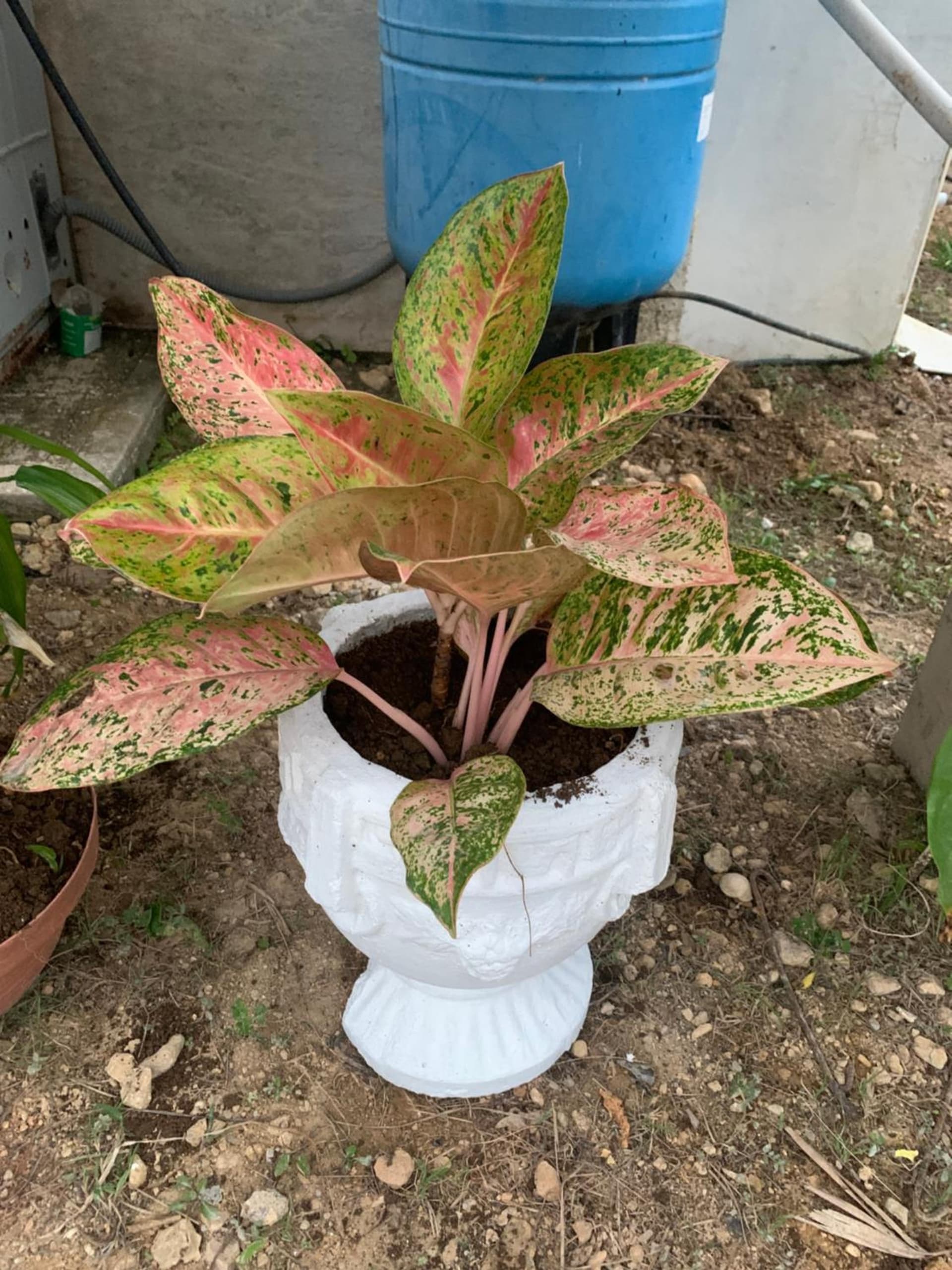 Mini Cozy Lodging - Photo 22