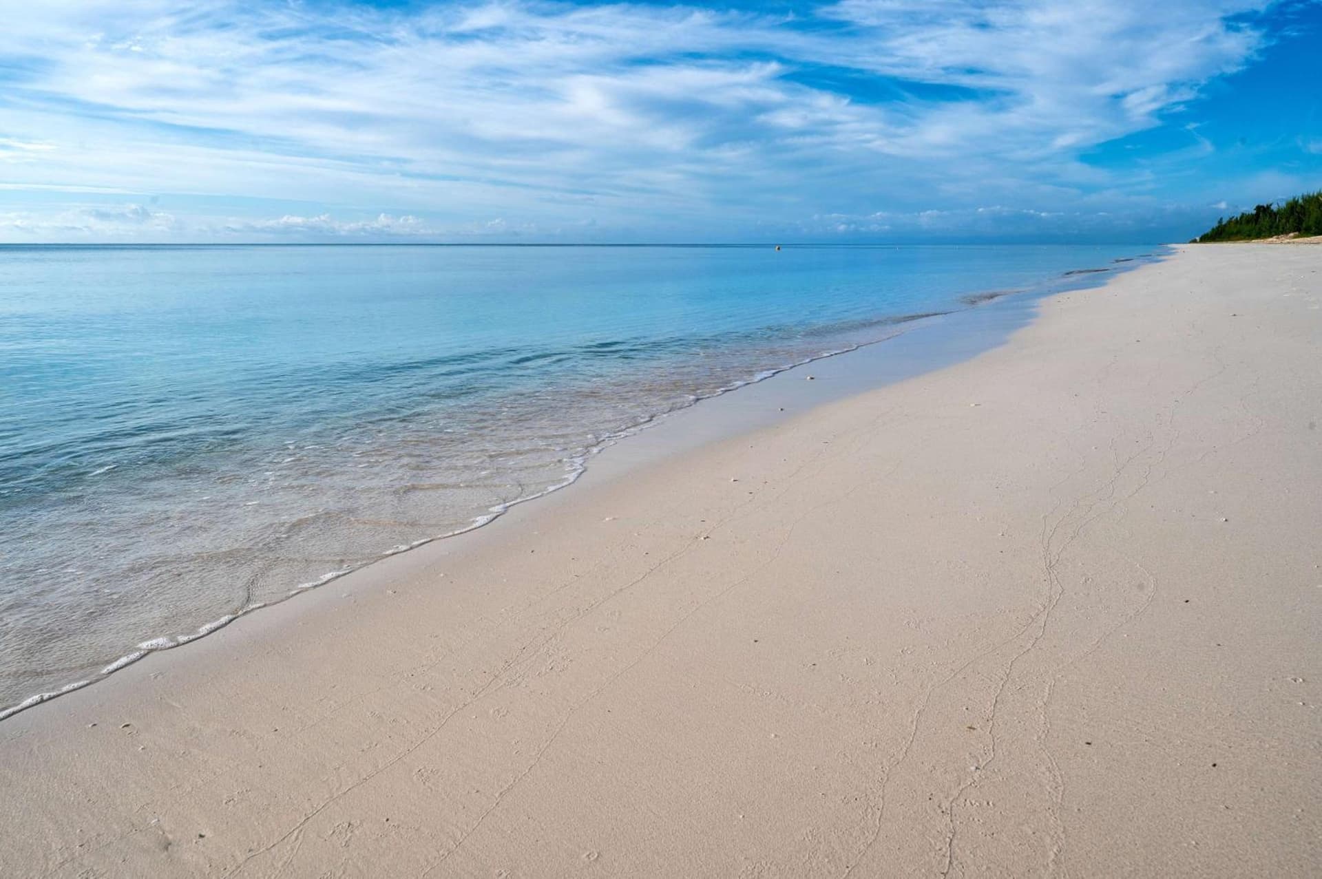 Viva Fortuna Beach by Wyndham, A Trademark All Inclusive - Photo 111