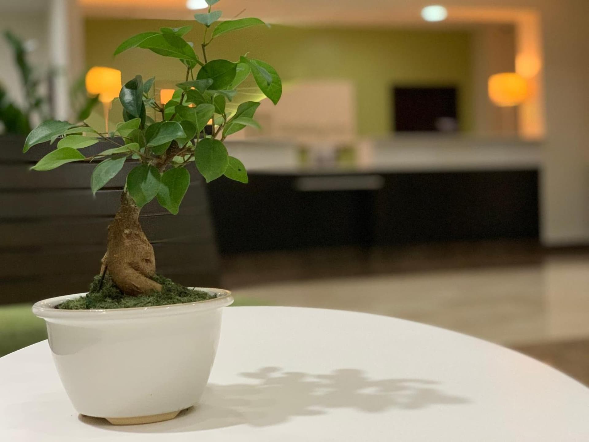 Holiday Inn Mayaguez & Tropical Casino by IHG - Photo 67