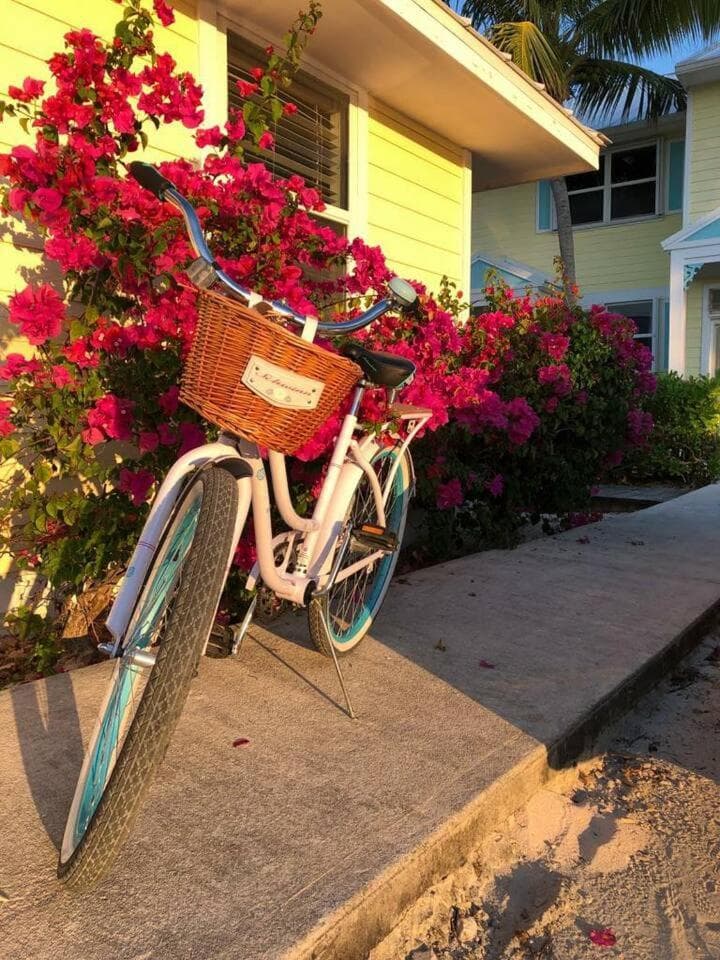 Conch Club Cottage - Photo 10