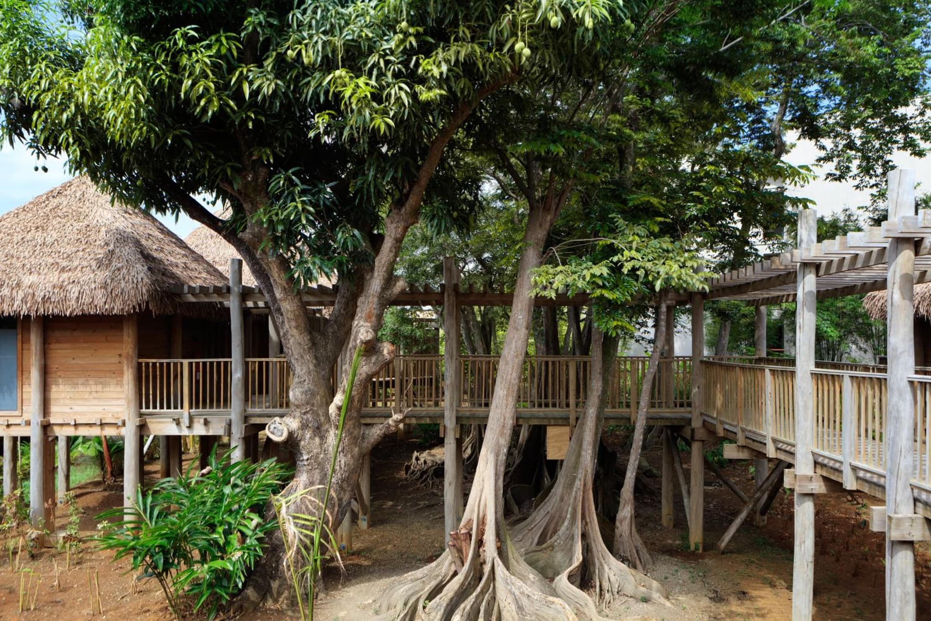 InterContinental Dominica Cabrits Resort & Spa by IHG - Photo 131