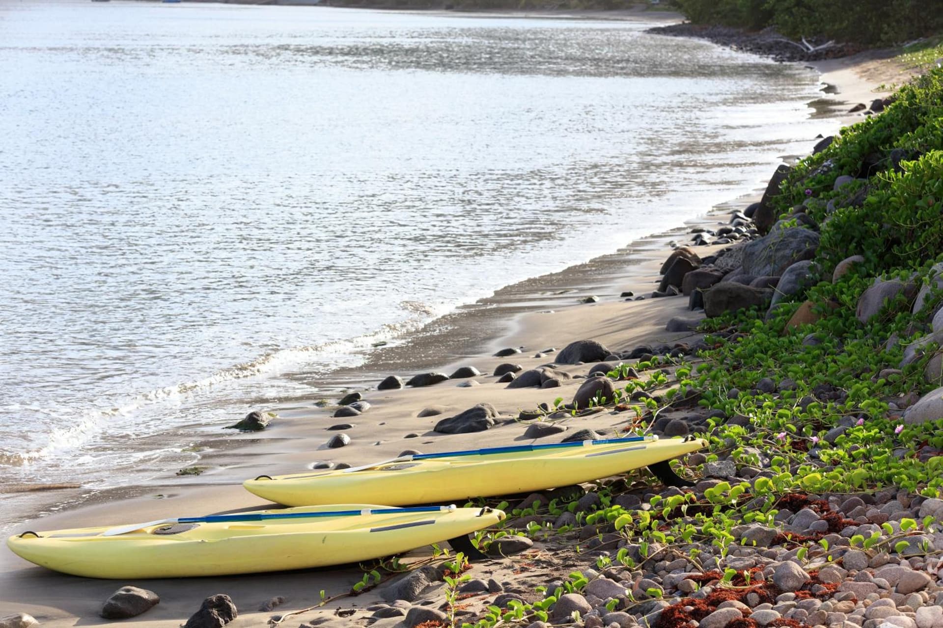 InterContinental Dominica Cabrits Resort & Spa by IHG - Photo 101