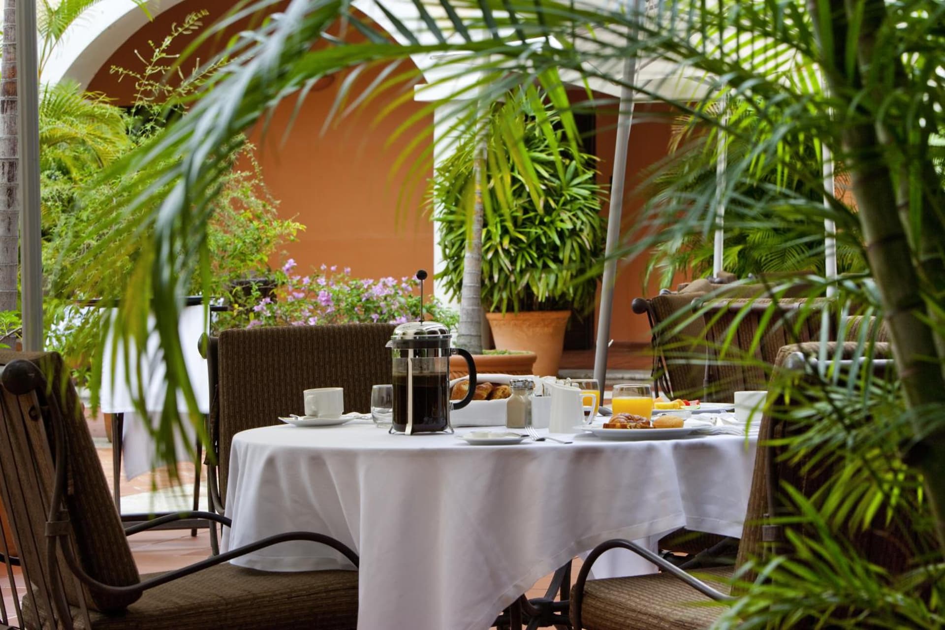 Hodelpa Nicolás de Ovando - Photo 67