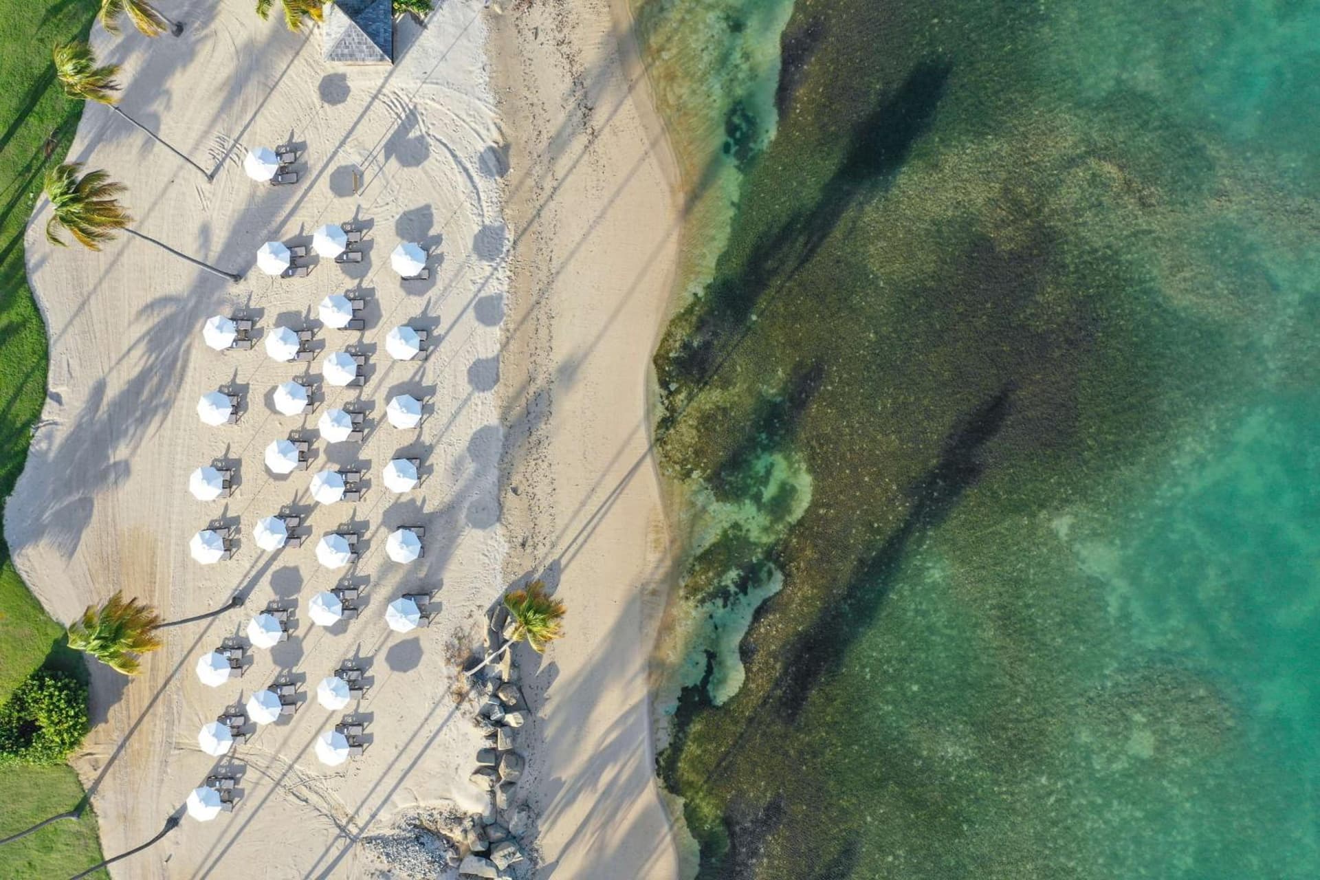 Hyatt Regency Grand Reserve Puerto Rico - Photo 31