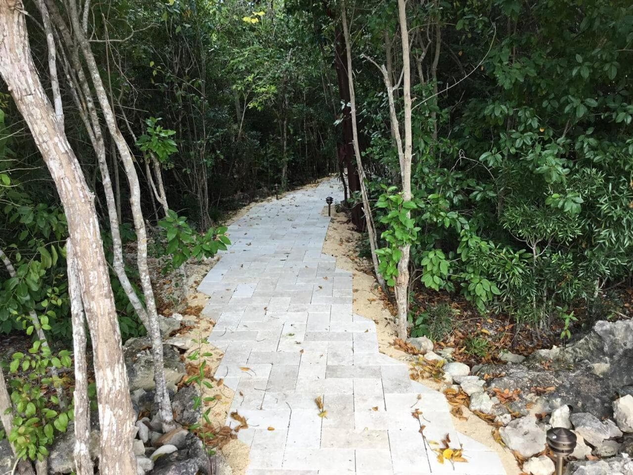 Just Chillin in Little Cayman - Photo 4