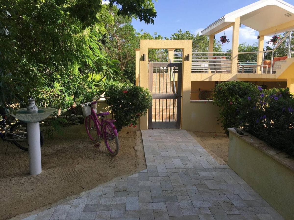 Just Chillin in Little Cayman - Photo 9