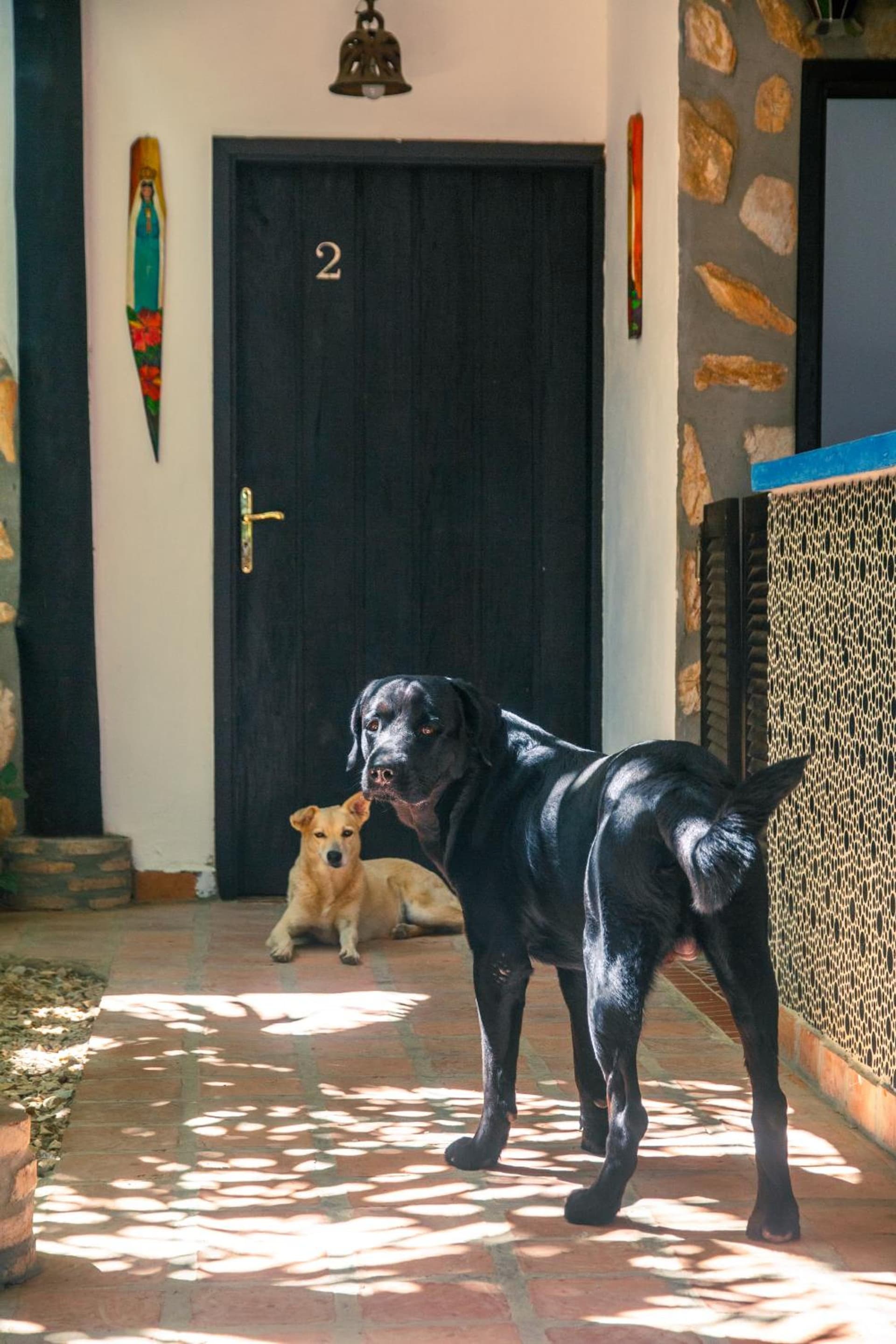 Playa El YAQUE Posada Yaque Sol, Isla de Margarita - Photo 78