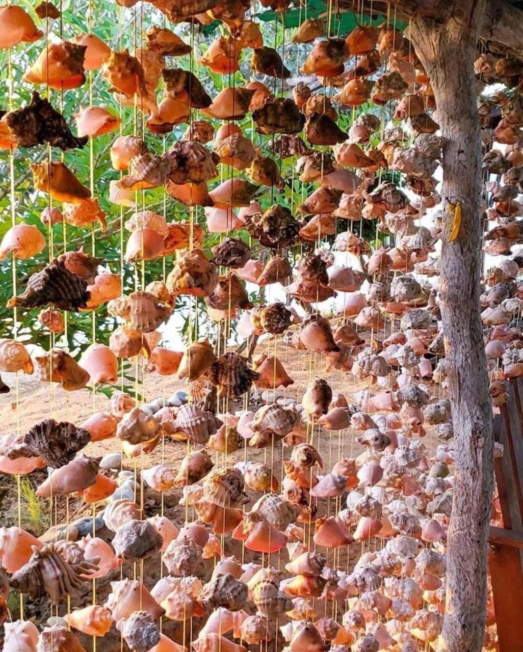 Playa El YAQUE Posada Yaque Sol, Isla de Margarita - Photo 106