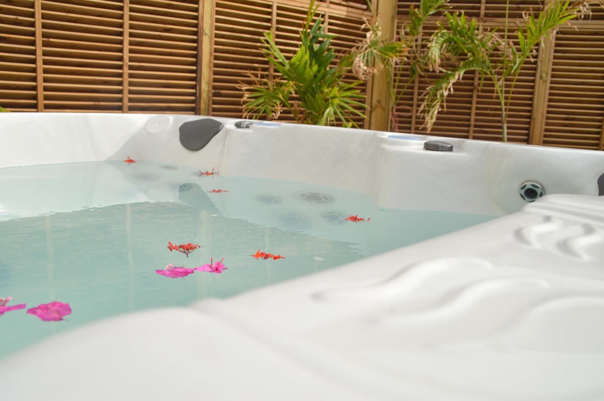 Tante Arlette - Photo 11