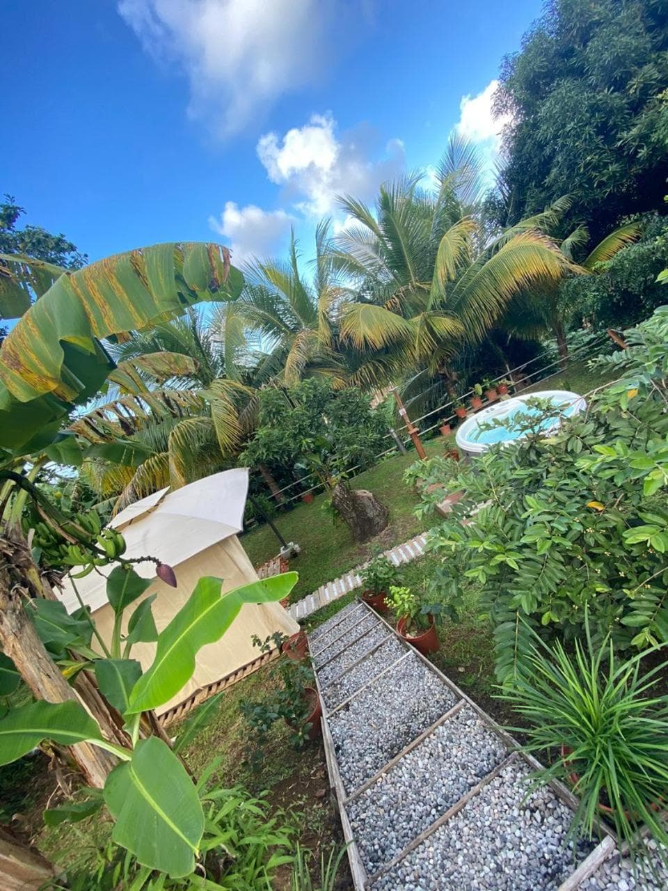 La Petite Maison de Marie - Photo 1