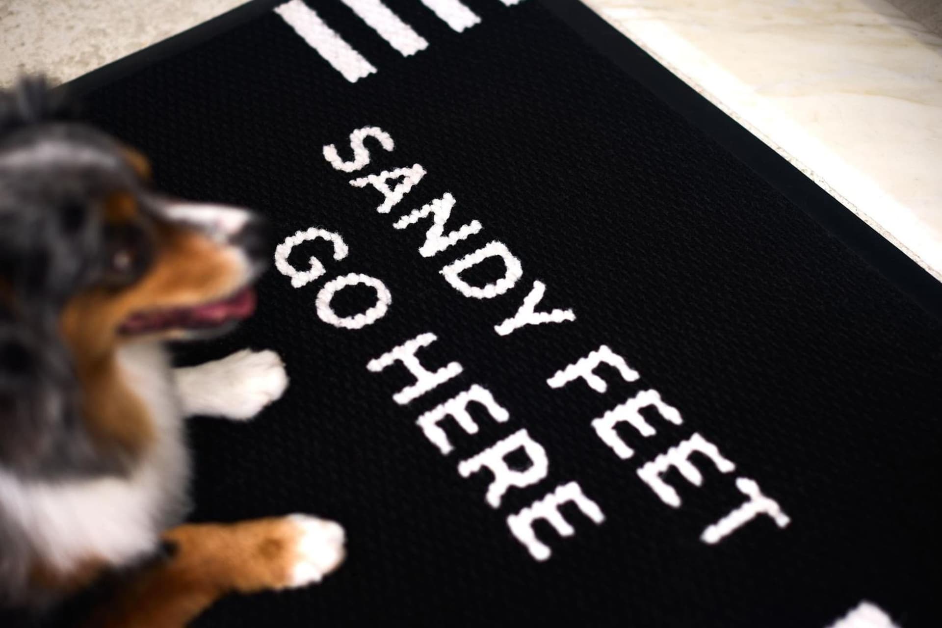 Buoy Haus Beach Resort St Thomas Autograph Collection - Photo 55