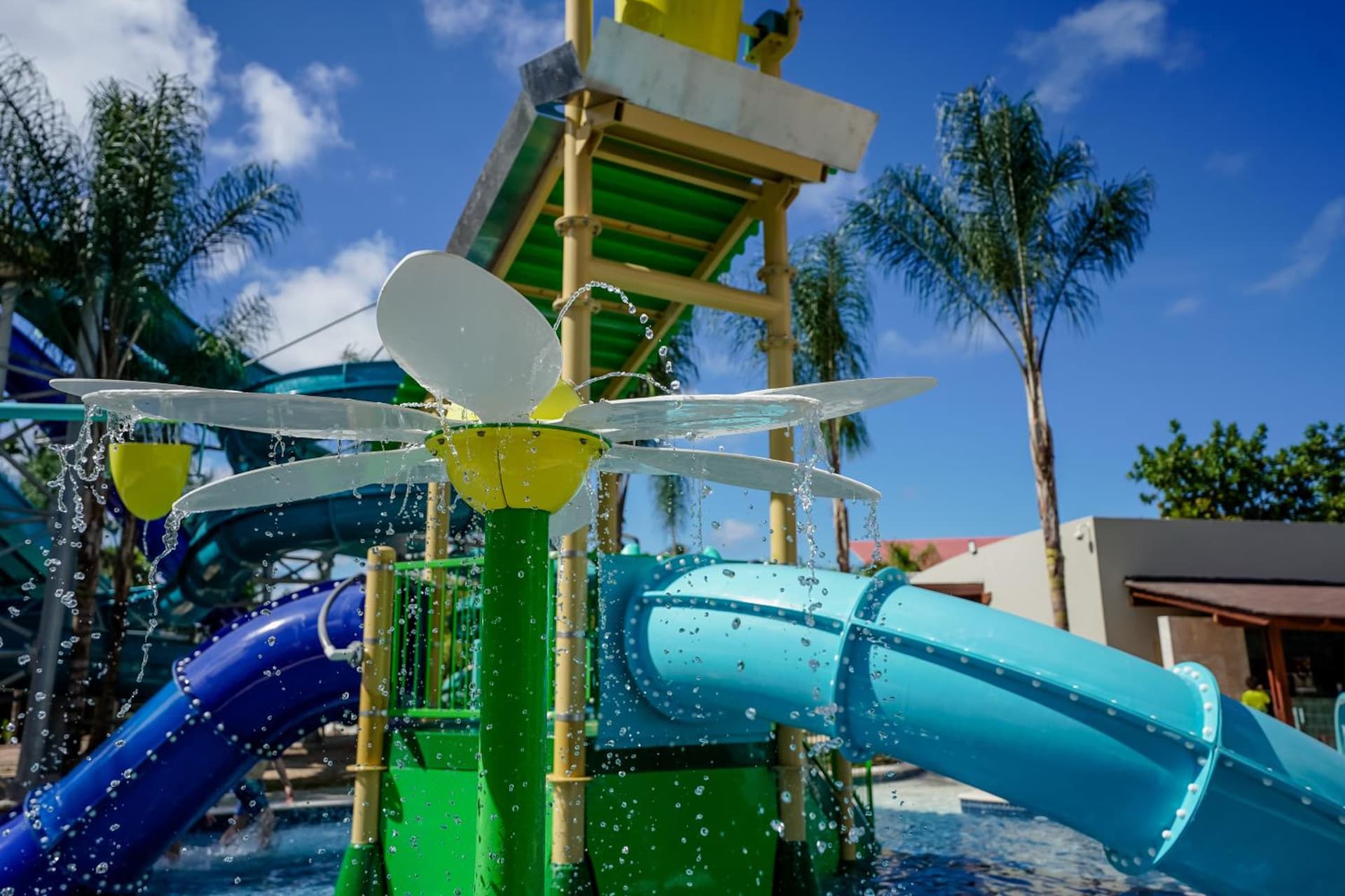 Dreams Royal Beach Punta Cana - All Inclusive - Photo 55