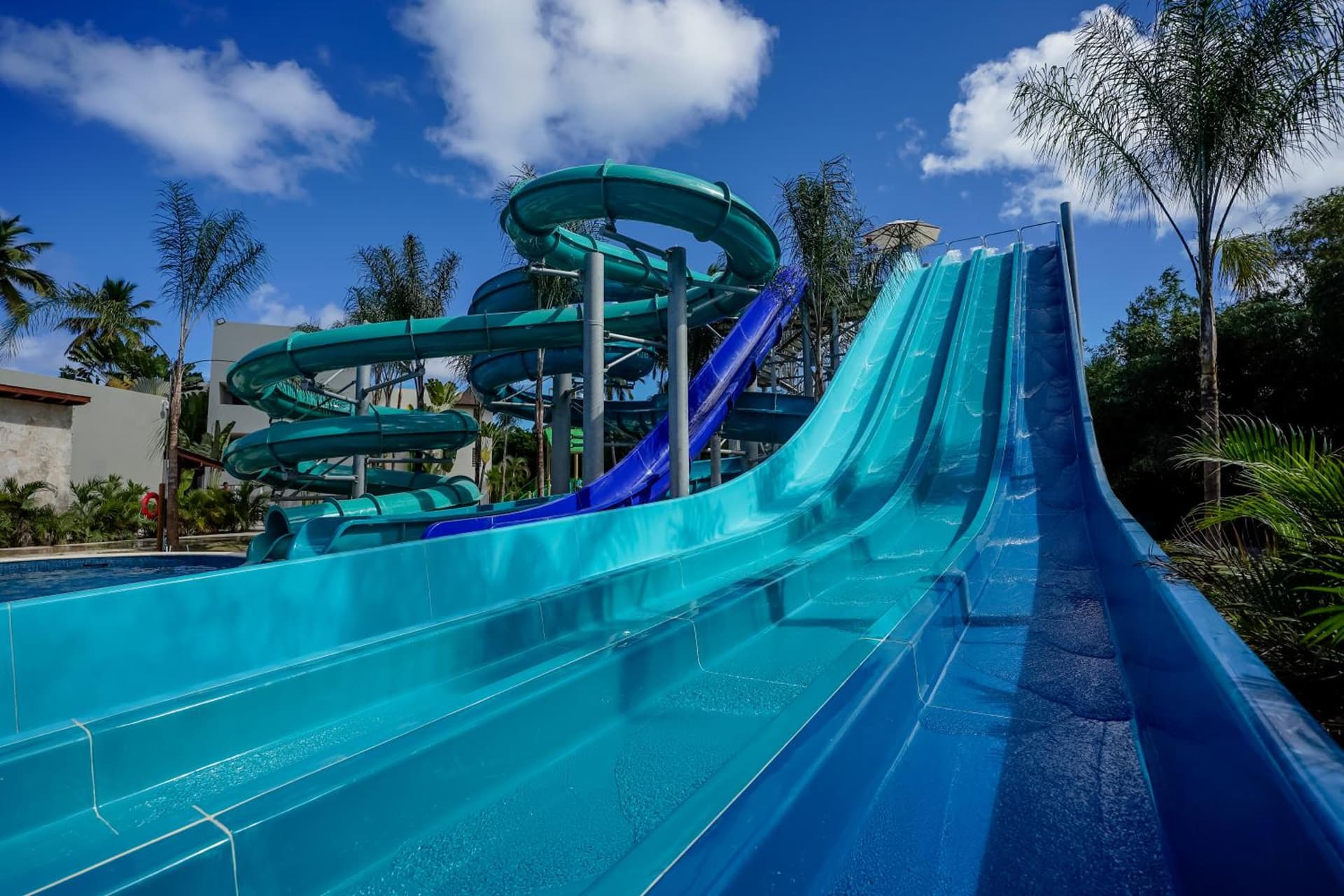 Dreams Royal Beach Punta Cana - All Inclusive - Photo 11