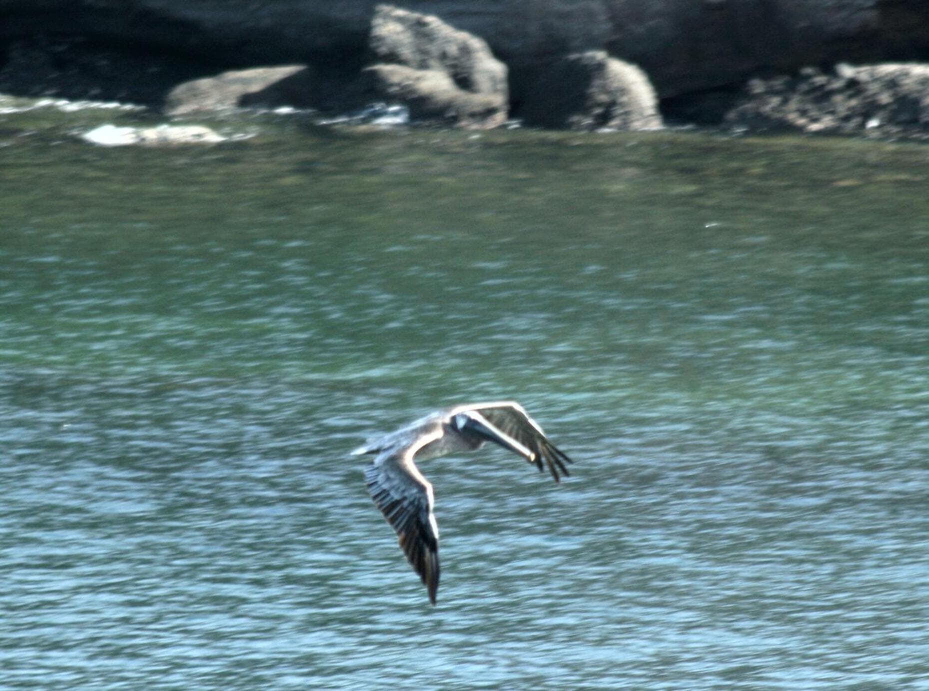 Cabier Ocean Lodge - Photo 62