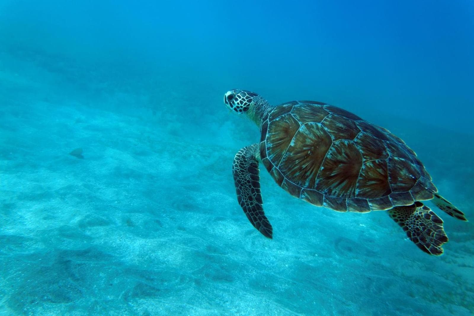 Villa KAZ A BAR - Photo 31