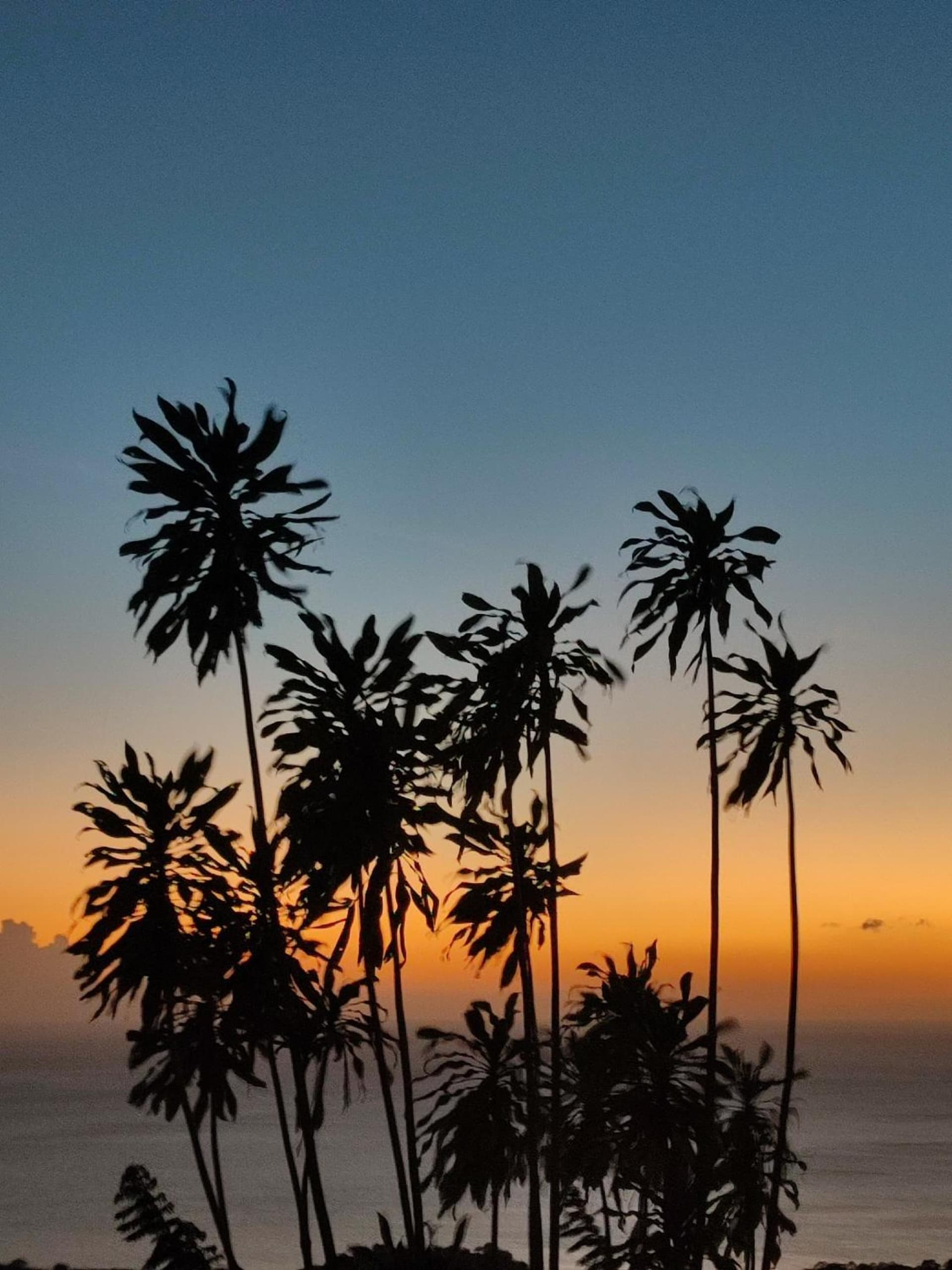 VillAnolis - Photo 10