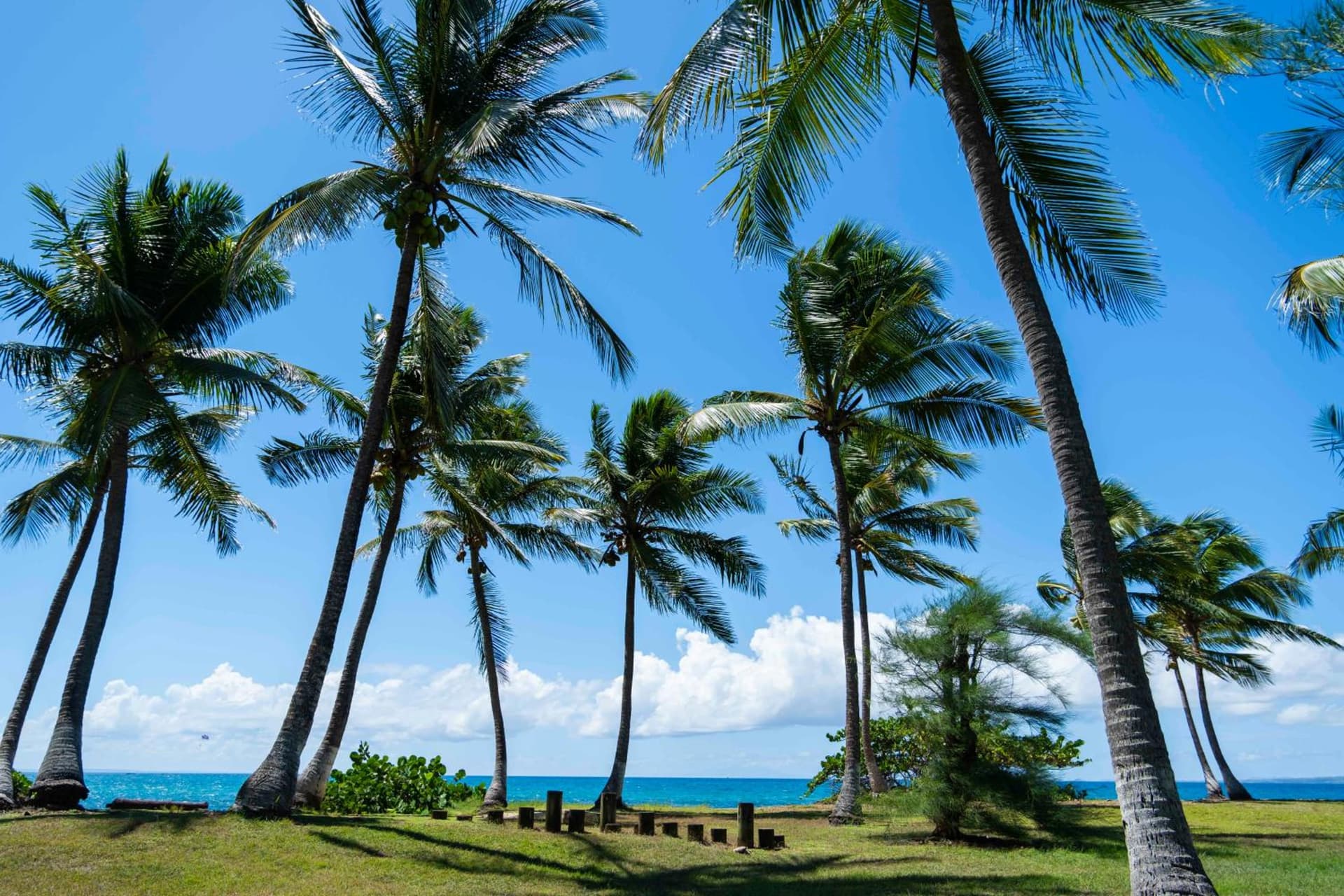 Hotel Fleur d'Epee - Photo 30