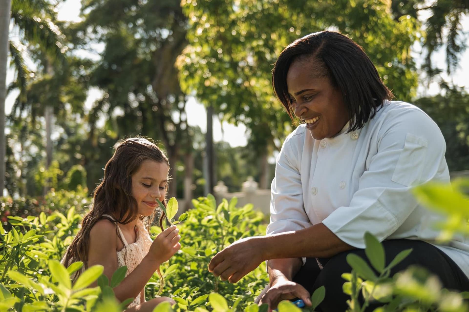 Hyatt Ziva Rose Hall - All Inclusive - Photo 50