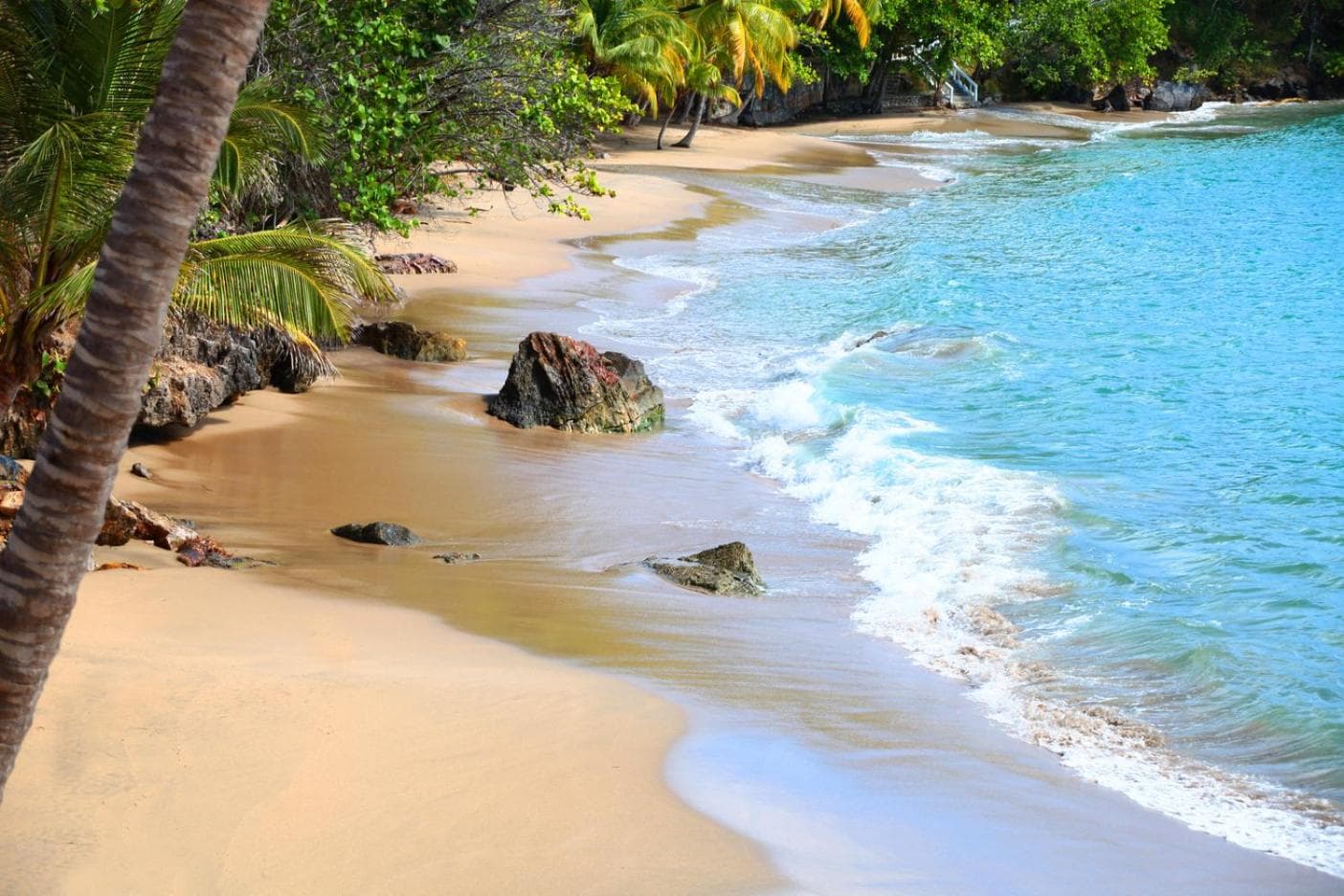 Bahia Principe Grand Samana - Adults Only - Photo 15